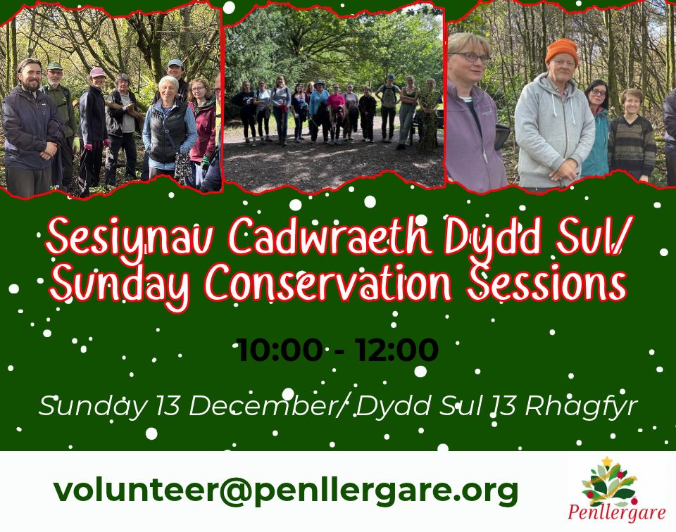 Christmas Conservation Session - December